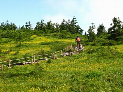 南蔵王は花の楽園♪