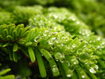 南蔵王は花の楽園♪