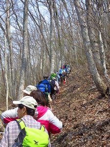 登って悔いなし黒森山