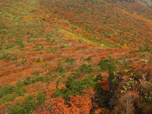 真っ赤っかの安達太良山