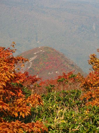 真っ赤っかの安達太良山