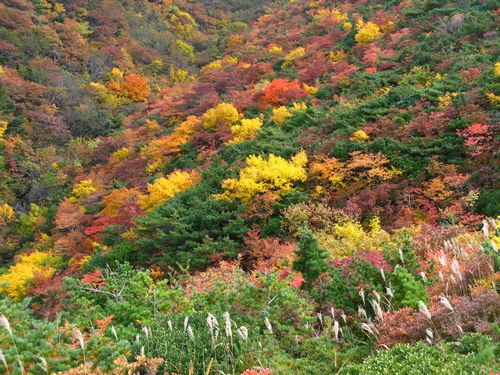 真っ赤っかの安達太良山