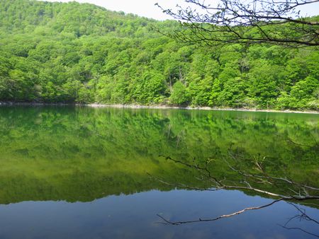 山滴る　北泉ｹ岳
