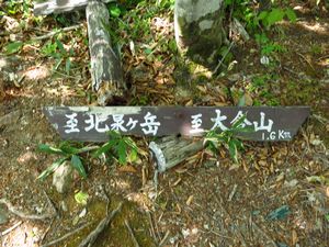 山滴る　北泉ｹ岳