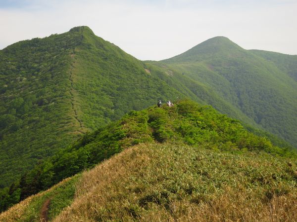花々を愛でながら・・・神室岳