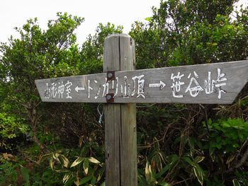花々を愛でながら・・・神室岳