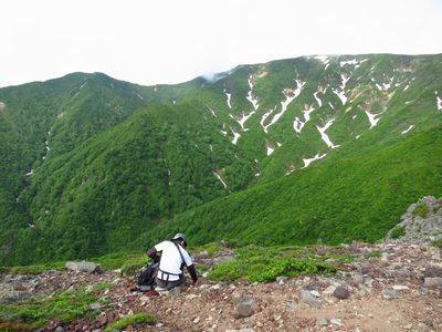 南蔵王は花の宝庫♪
