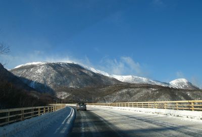 今年も姿を見せてくれたイエローフォール