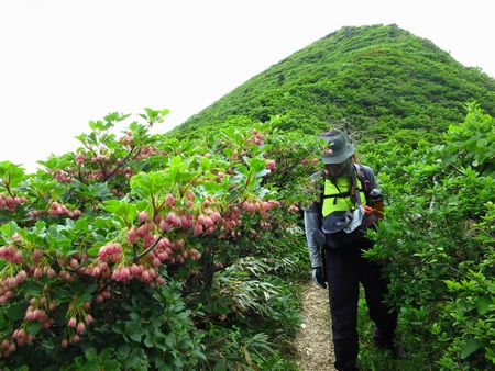 北蔵王の中心となる雁戸山