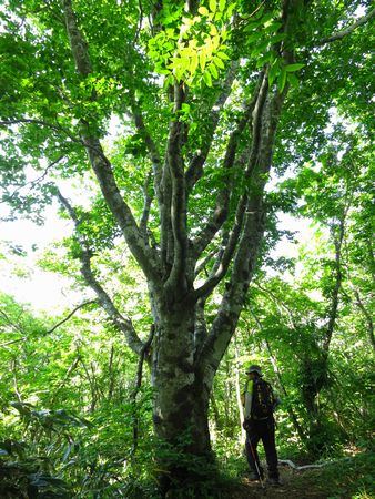 北蔵王の中心となる雁戸山