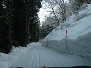 氷筍に魅せられて