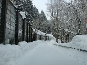 氷筍に魅せられて