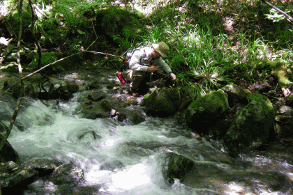 木曽路は山の中･･･