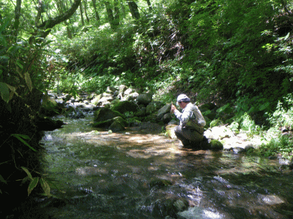 木曽路は山の中･･･