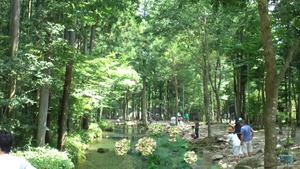 那須フィッシュランド