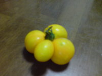 トマト(;￣ー￣)...ン?