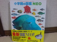 お魚図鑑