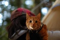 週末は！応援キャンプ！ 2012/04/04 12:15:46