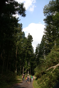 SW in 和良川