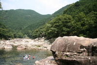 魚飛渓