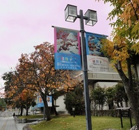 秋は足早に… 2012/11/13 19:05:06