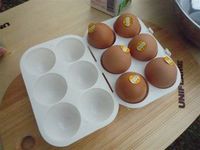 フィールドデビューしたアイテム達