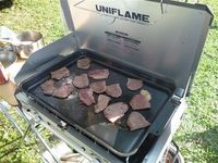 フィールドデビューしたアイテム達