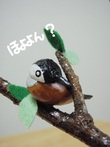 今年も　どんぐり工作♪　1