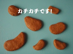 山の粘土で作ろう♪