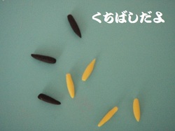 山の粘土で作ろう♪