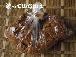 山の粘土で作ろう♪
