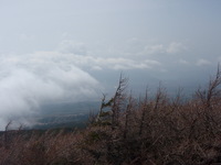 ソロ　迷子のひとし・・・その２