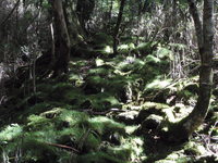 富士山穴場のコース♪