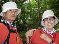 日向山、ふたたび・・・
