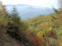 紅葉渋滞の山頂！