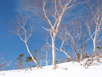 うがっと一発　御嶽山！！