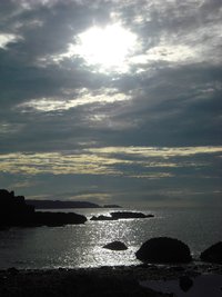 夏の思い出