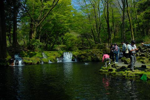 猪之頭公園でマスつり　GWキャンプinふもとっぱら