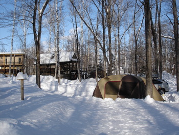 寒中コニファーXmasキャンプ
