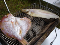 山部納涼キャンプ