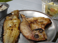 山部納涼キャンプ
