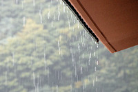 今週末は・・・・・ 2008/03/20 07:45:00