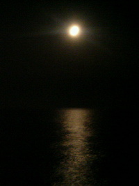 3月23日の記事 2008/03/23 04:36:41