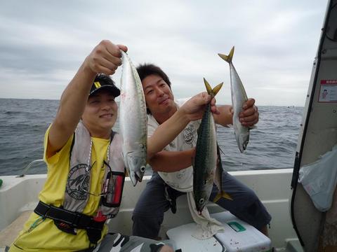 鳥山を迎撃セヨ