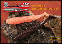 ジャッカル　アンモナイトシャッド