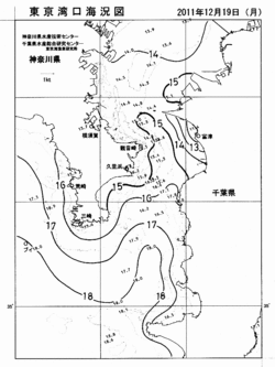 決めた！答えはいかに