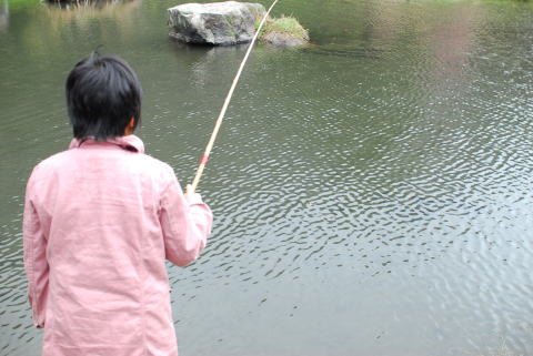 リバーランズ角川　しだれ桜を見に行ってきましたよ