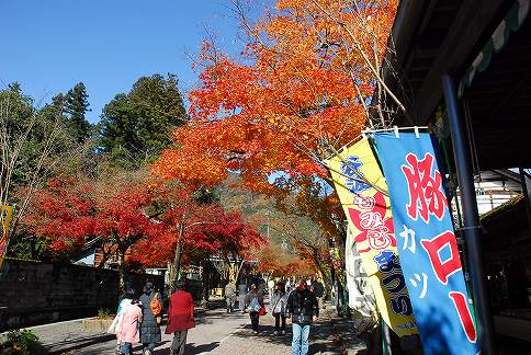 秋のプッチ小旅行