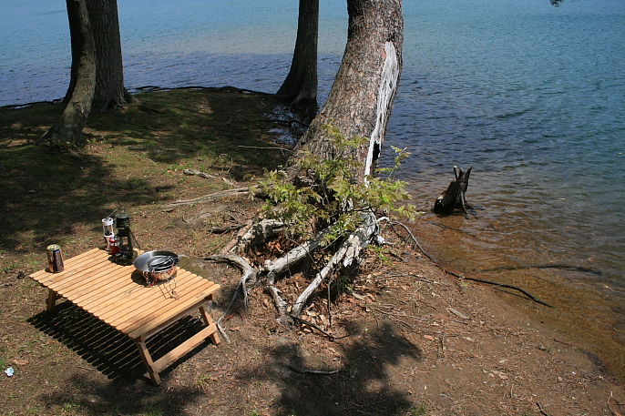 the usual reservoir…CAMP