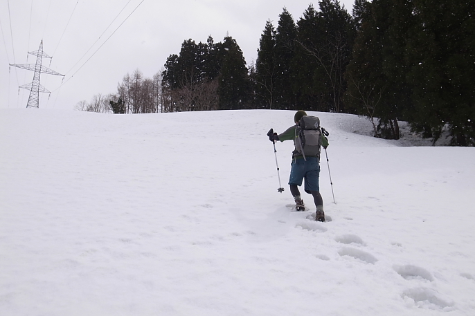 Search for Hillback 2012